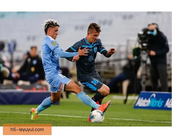 波波破门格兰特乌龙悉尼平奥克兰